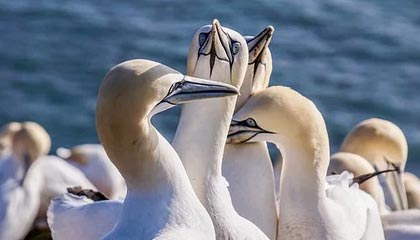 谈球吧体育app官网王曦雨直落两盘晋级法网女单资格赛决胜轮,将与谢拉争夺正赛席位